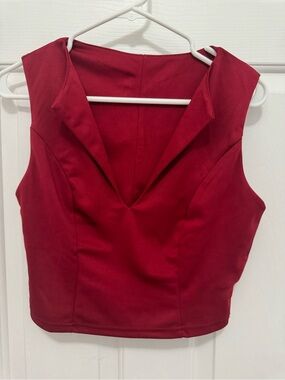 Sleeveless Deep V Crop Top in Crimson